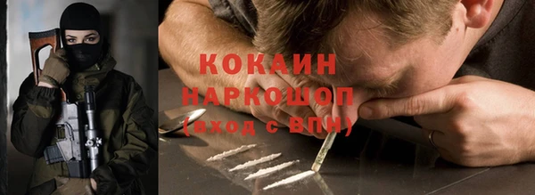 индика Новый Уренгой