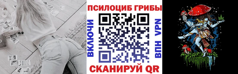 Псилоцибиновые грибы Cubensis дарк нет Telegram Тбилисская