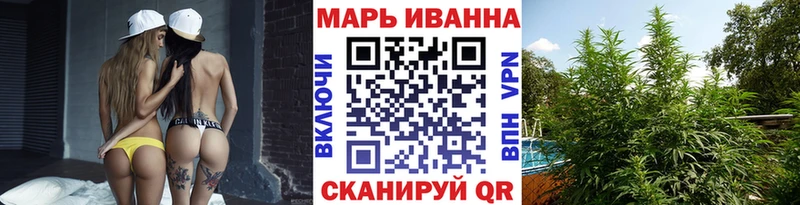 Бошки Шишки семена  Тбилисская 